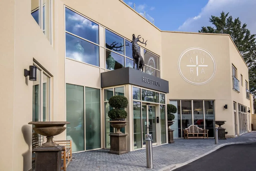 The entrance and reception of Stratton Court, with the Aura crest and stag sculpture